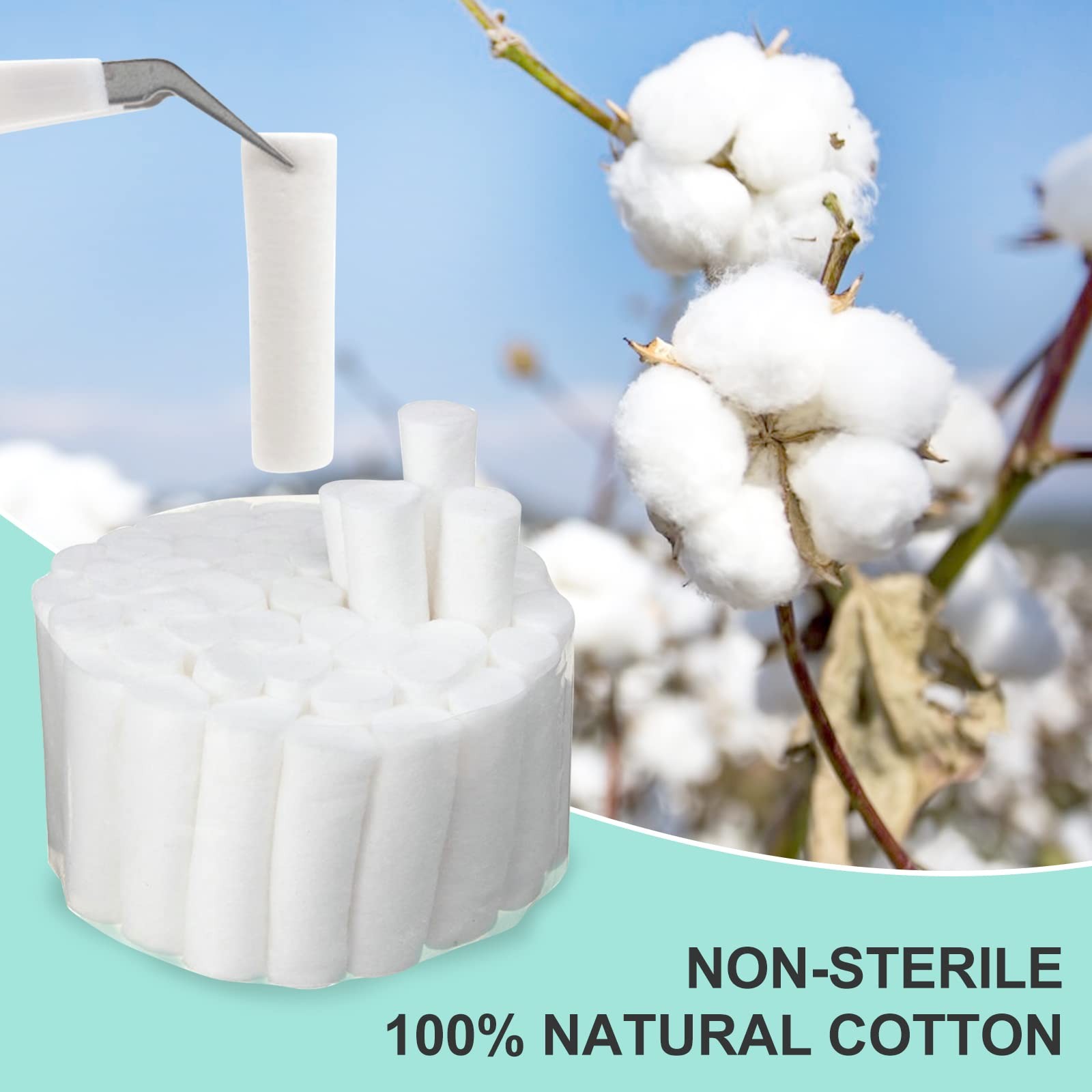 200 Count 1.5 Inch Dental Cotton Rolls, Non-Sterile 100% x 0.4