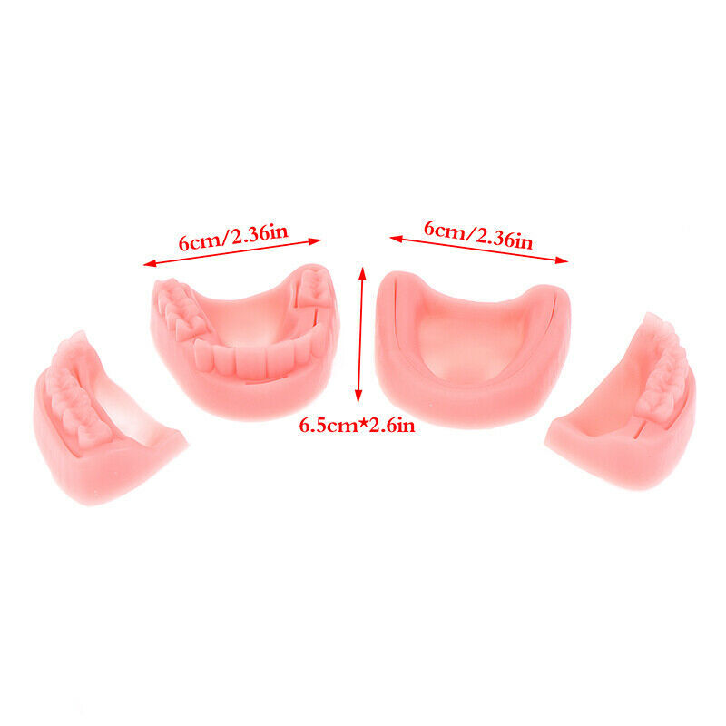 Dental Simulation Model Gum Training Dentist Practise 3/0 4/0 5/0