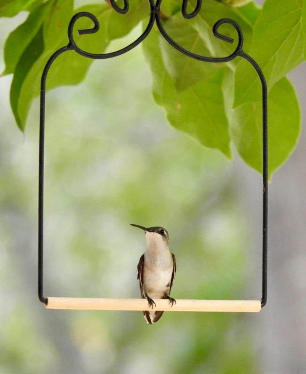 3 Pack Metal Frame Hummingbird Swing Perches for Hanging Outdoor Lawn Patio