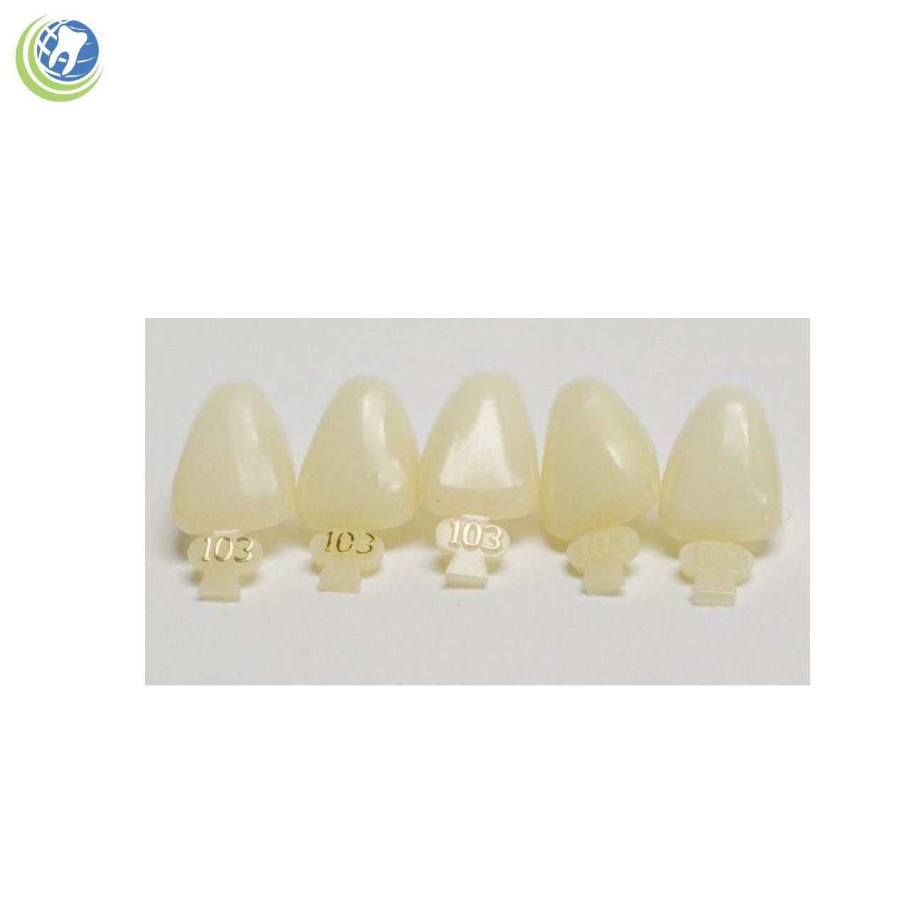 DENTAL POLYCARBONATE TEMPORARY CROWNS #103 (ULC) UPPER LEFT CENTRAL 5/PACK