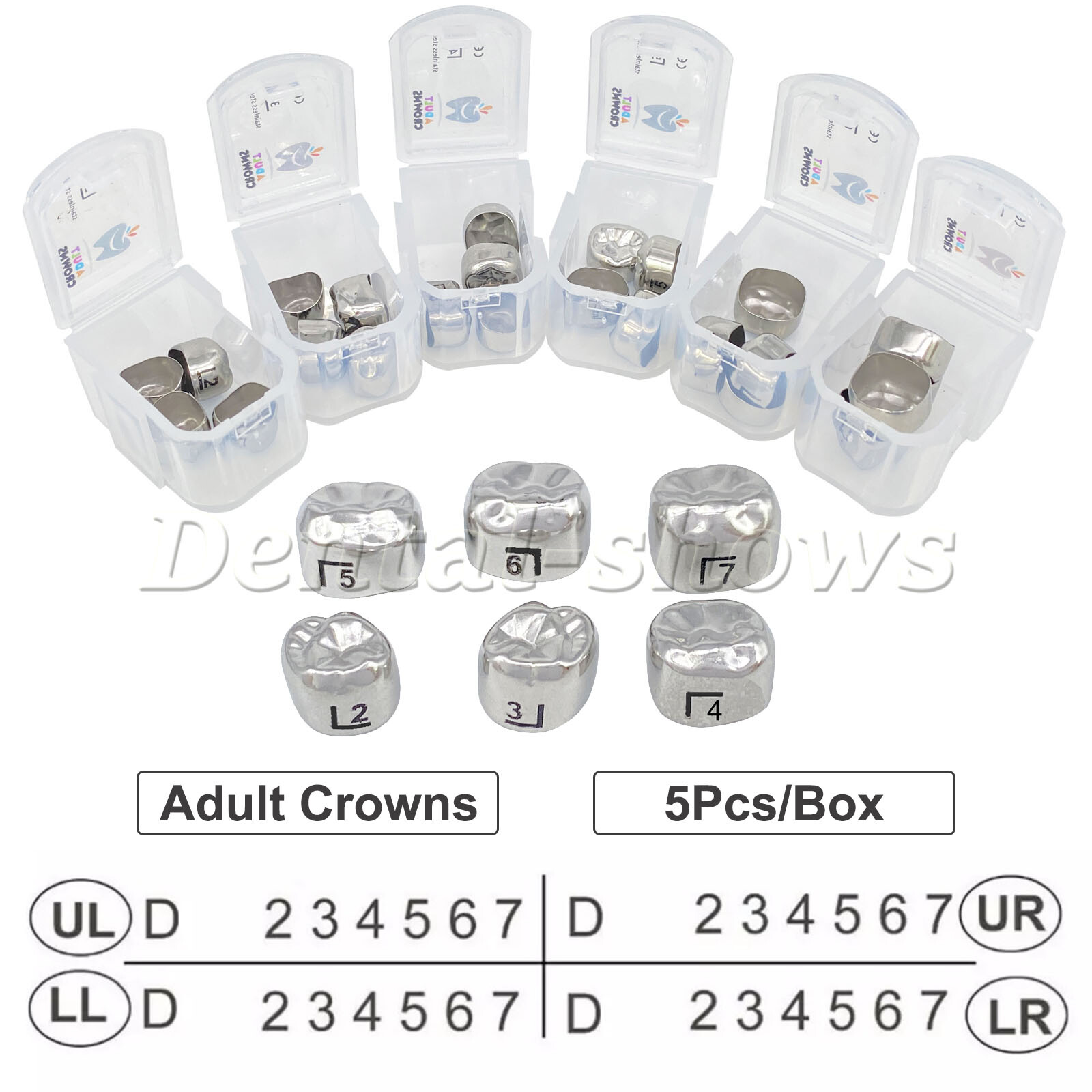 5Pcs/Box Dental Adult Crown Stainless Steel Primary Permanent Molar Crowns