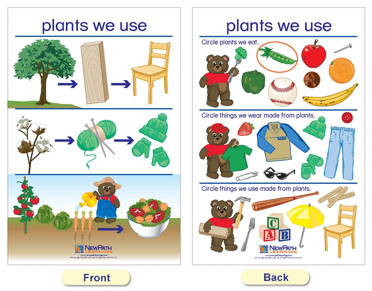 Newpath Learning Newpath All About Plants Bulletin Board Charts – English
