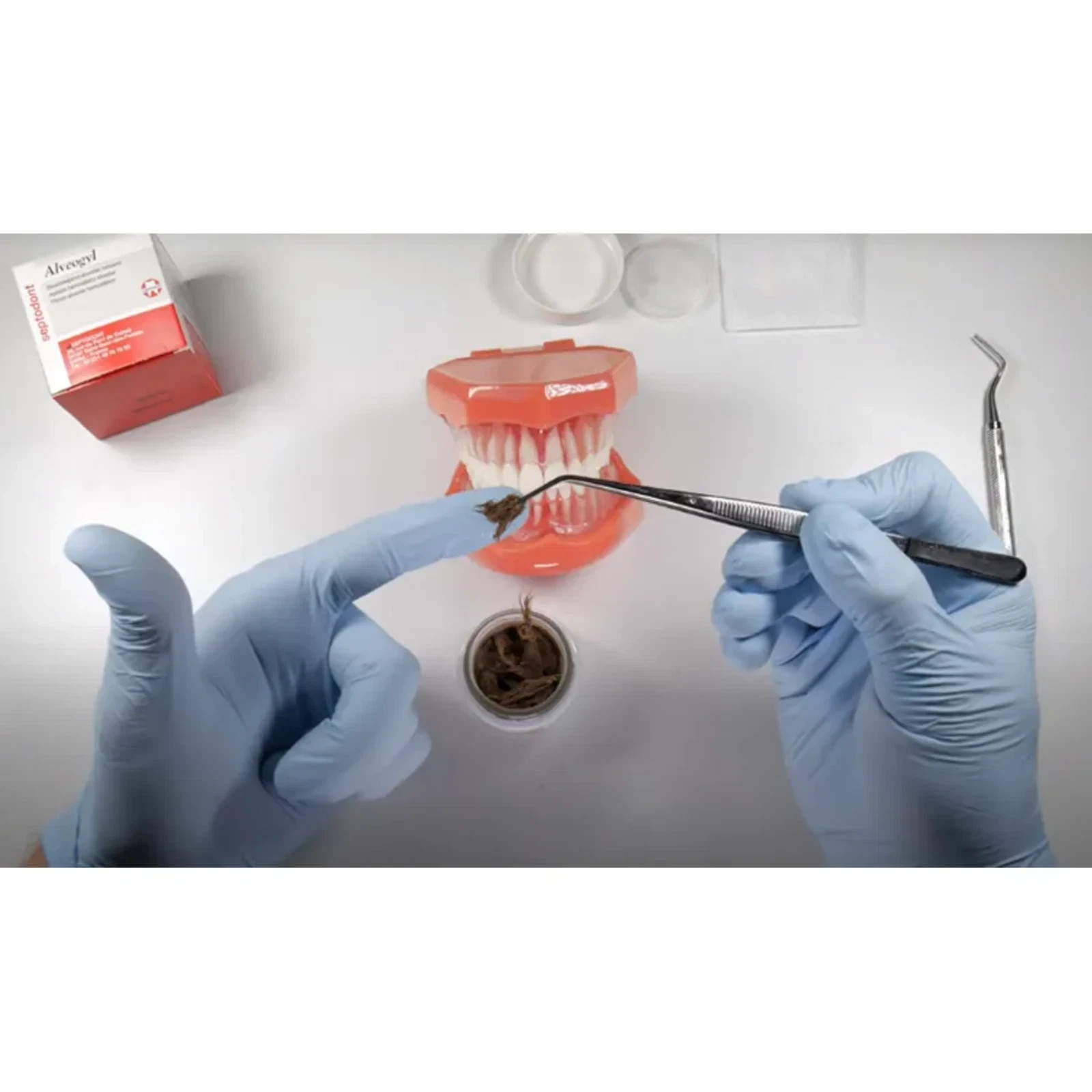 Septodont Alveogyl 10g Jar Dental Alveolar Dressing Antiseptic Analgesic Paste