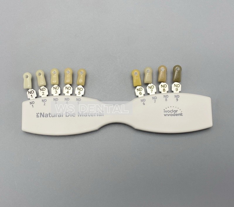 Dental IPS Natural Die Material Shade Guide Ivoclar Vivadent ND1-9 Abutment 1set