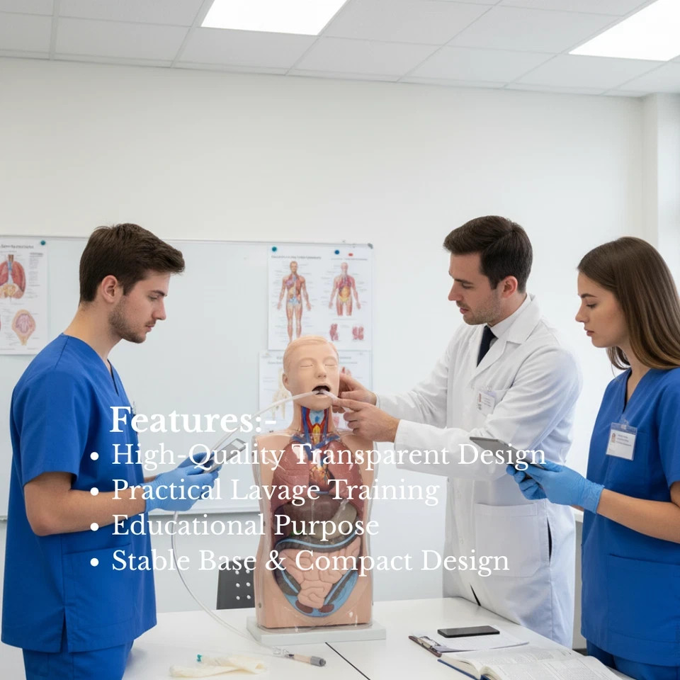 Transparent Gastric Lavage Model