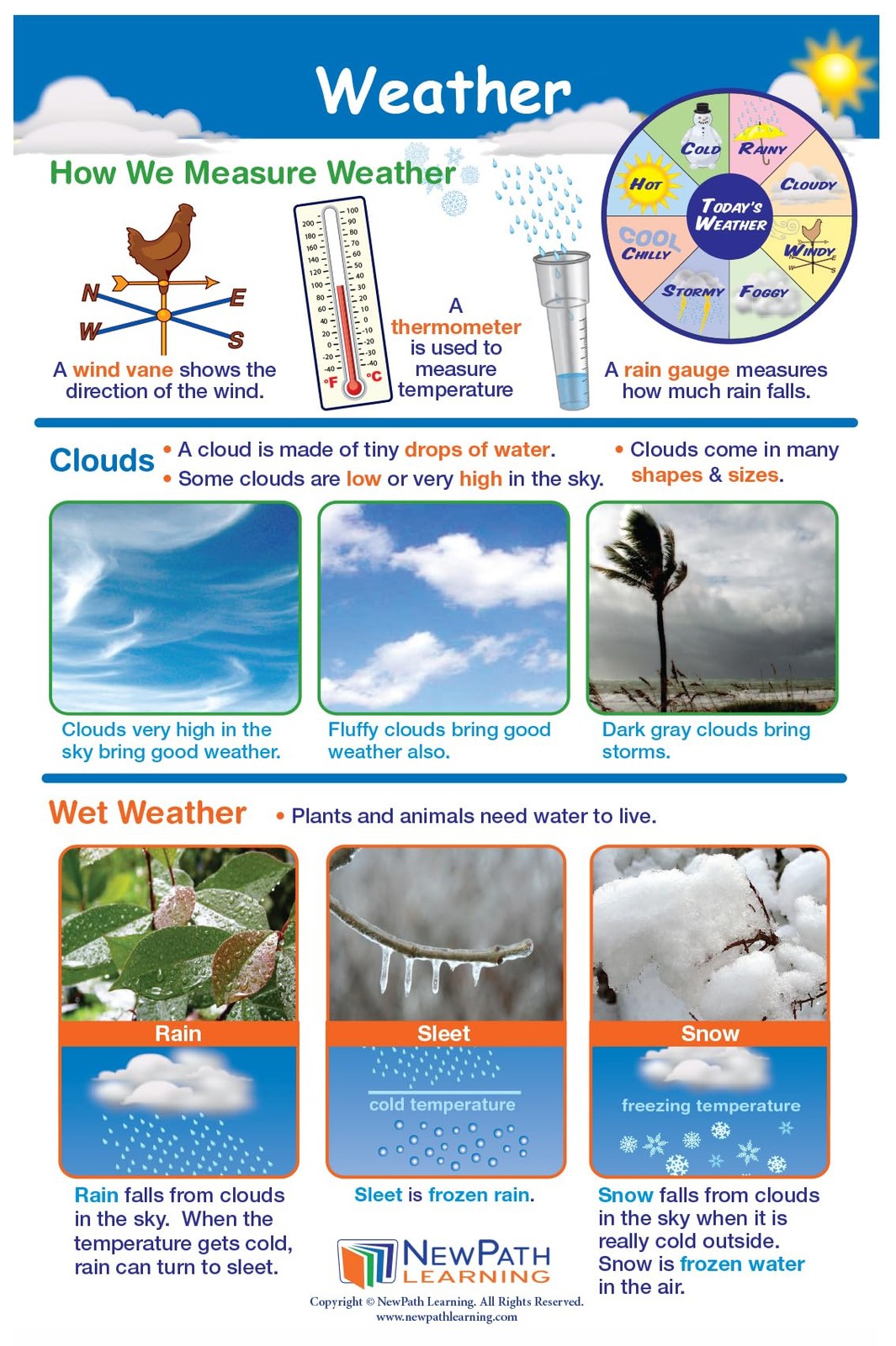 1 Science Anchor Charts Set of 10 (12×18″) & 25-Page Resource Guide Covering …