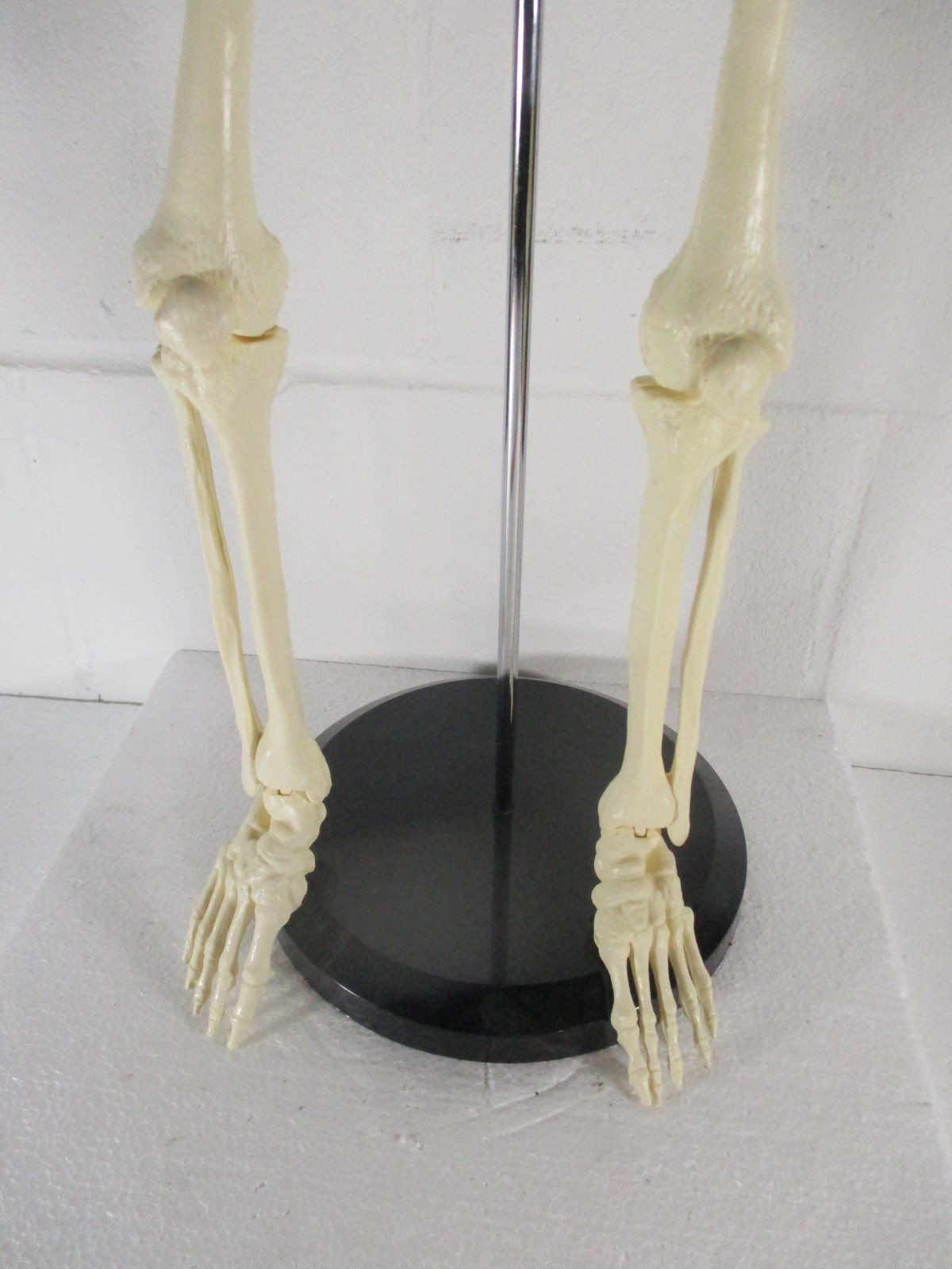 A 32″ TALL ARTICULATED PLASTIC HUMAN SKELETON, UPRIGHT ON METAL STAND, PERFECT