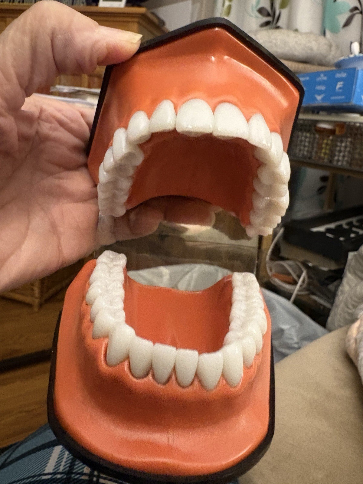 Henry Schein TP-100 Oversized Oral Teaching Dental Patient Education Display
